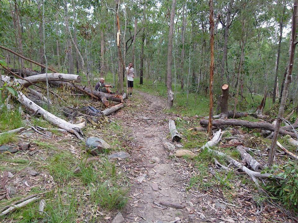P1160444.jpg